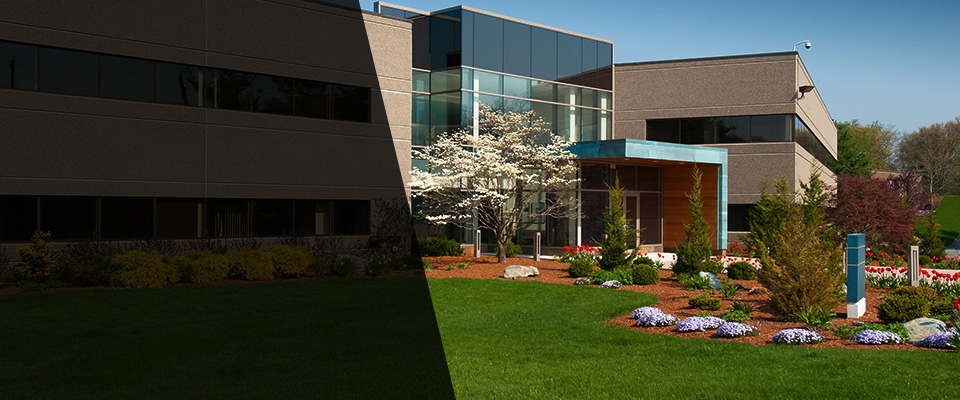 Rego Park Landscapers