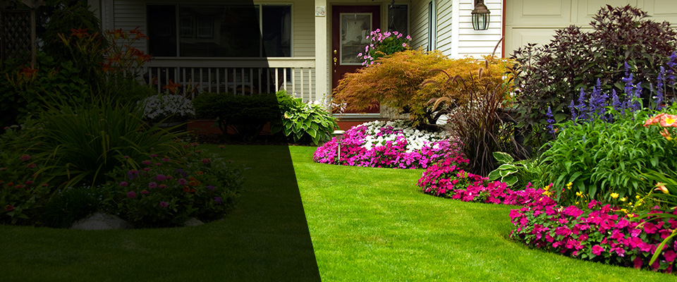 Rego Park Landscapers