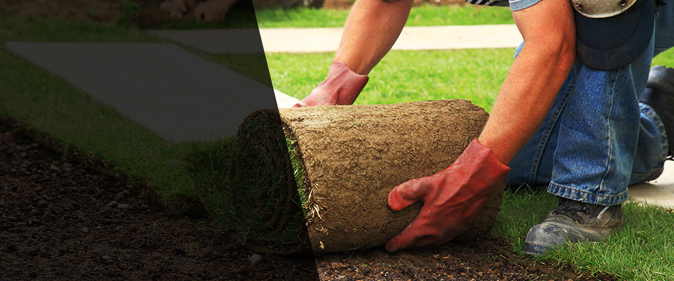 Rego Park Landscapers